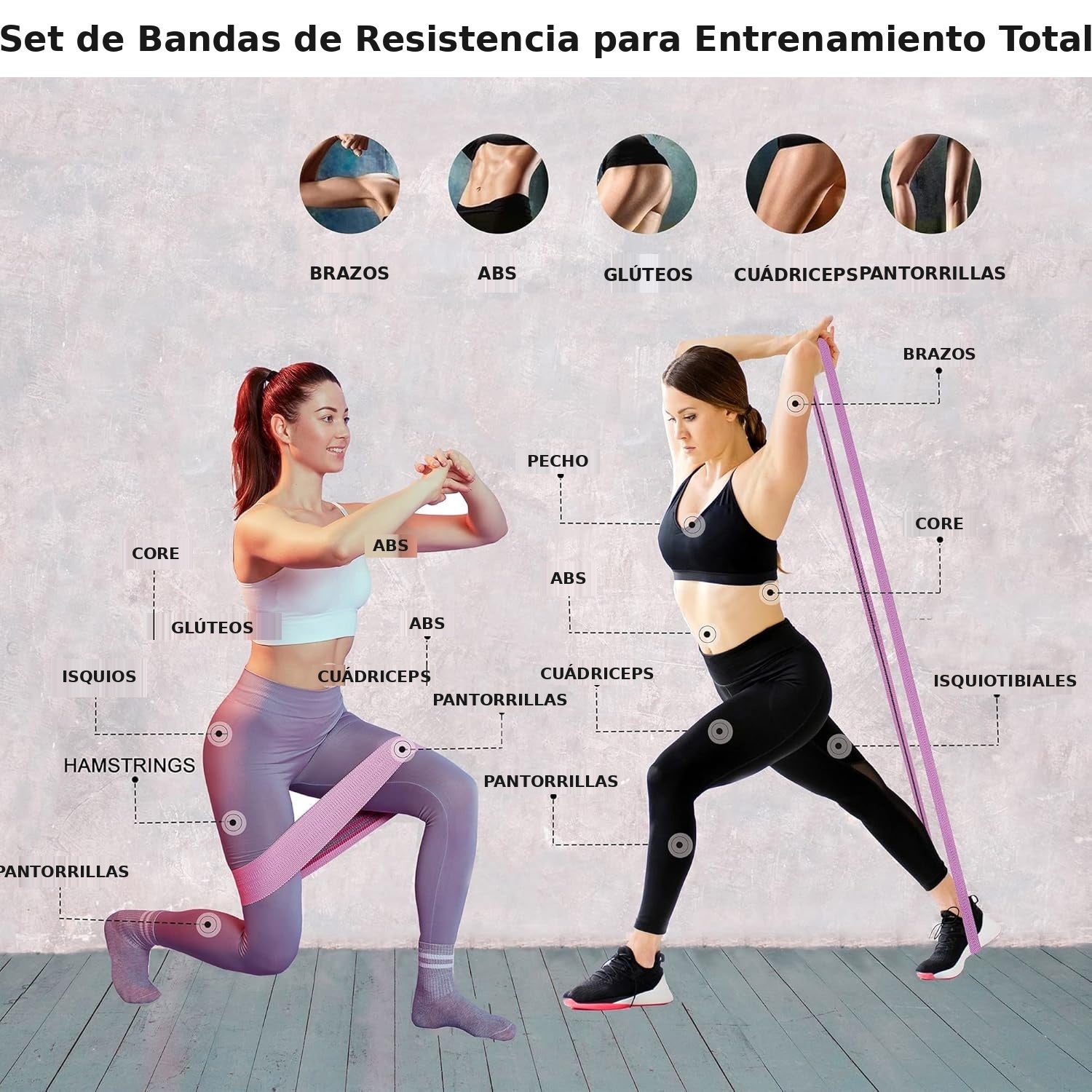 Diagrama de músculos trabajados con bandas de resistencia Zest Market: brazos, abdomen, glúteos, piernas